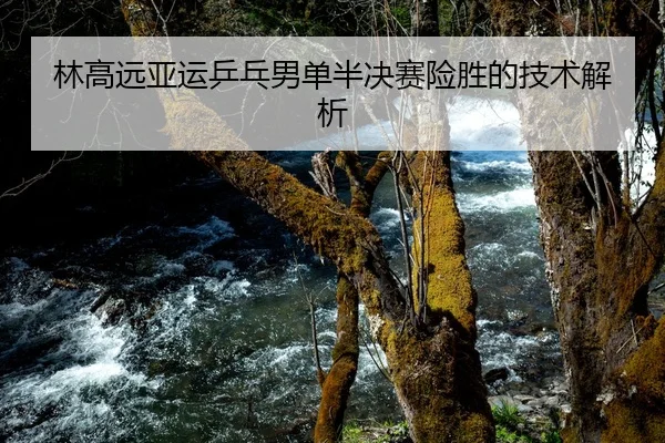 林高远亚运乒乓男单半决赛险胜的技术解析