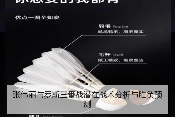 zhang-wei-li-yu-luo-si-san-fan-zhan-qian-zai-zhan-shu-fen-xi-yu-sheng-fu-yu-ce-2-411.jpg